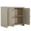Winford Accent Cabinet