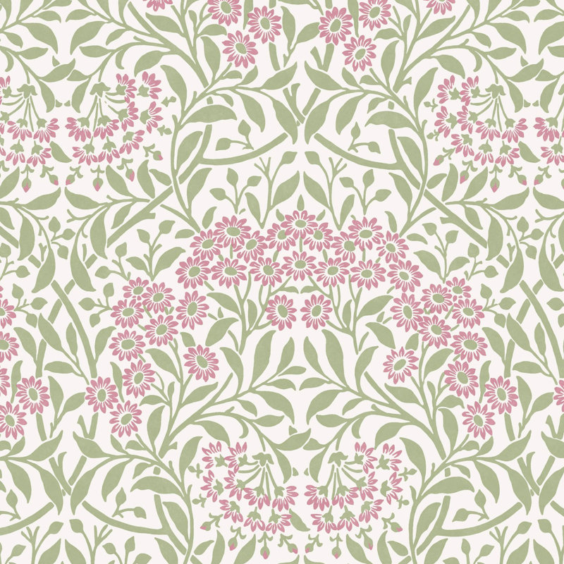  Michaelmas Daisy Pink Cedar Wallpaper