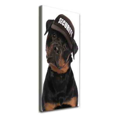 Rottweiler In A Hat - Wrapped Canvas Print