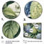 Impression sur toile rose, rose, vert et hortensia-1428538968-1428538969