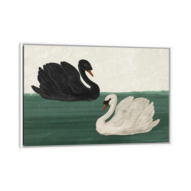 Cygne noir cygne blanc_1PC6, Cadre flottant blanc, H 32 po x l 48 po