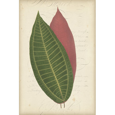 Textured Leaf Study I by Vision Studio - Wrapped Canvas Art Prints