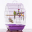 Cage à oiseaux avec perchoir Borton-1266717474