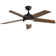 Ceiling Fan with LED Lights
