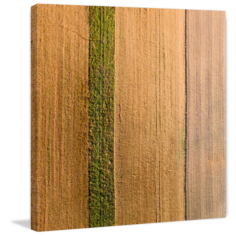 Wrapped Canvas Print, 122 cm H x 122 cm W x 3.81 cm D