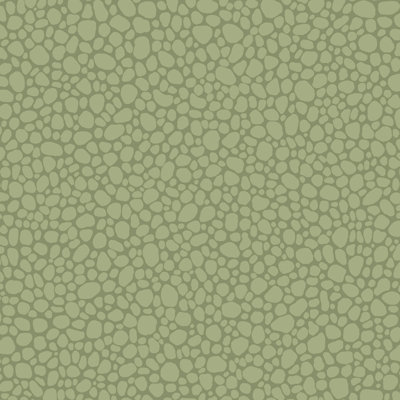 Landscape Plains Pebble Stone Wallpaper Roll