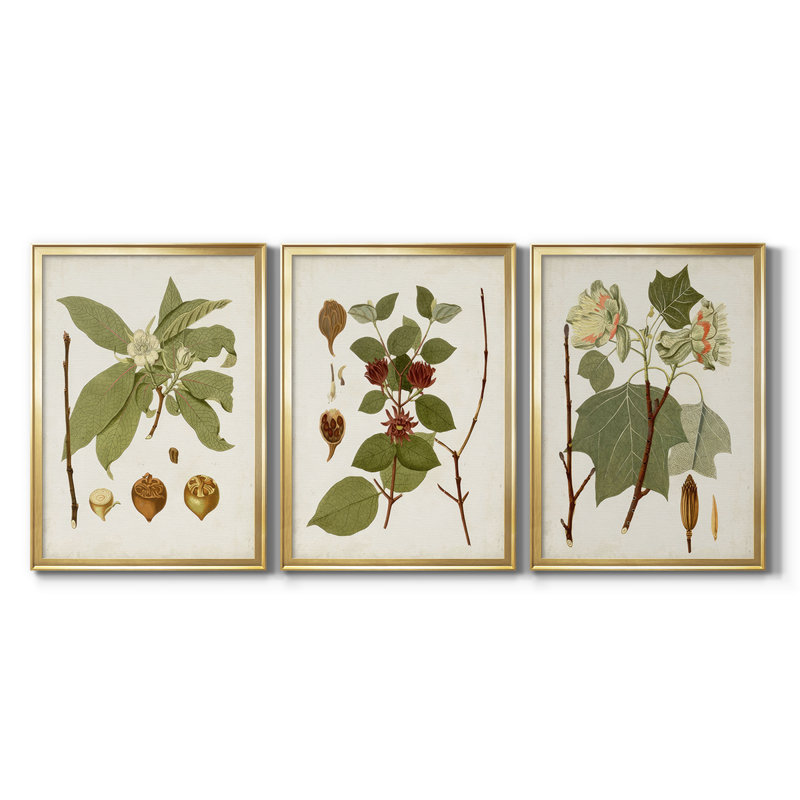 Antique Leaves I - Toile tendue avec châssis sur mesure - 3 pièces, H 21 po x l 30 po, Doré