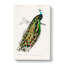 Indian Peacock by Charles D' Orbigny - Wrapped Canvas Painting-55313049