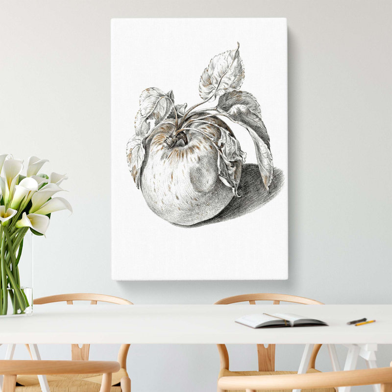Apple by Jean Bernard - Wrapped Canvas Drawing Pint - Wrapped Canvas, 76cm H x 50cm W x 3cm D