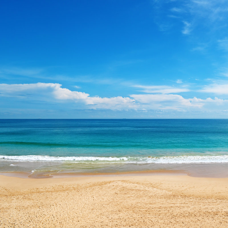 Beach And Sea by AlinaMD - Wrapped Canvas Print, 91cm H x 91cm W x 3.8cm D