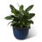 15.25"D Set Of 2 Honeycomb Textured Green Faux Ceramic Pot Plastic Planter-1192810080