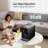 Euhomy Portable Countertop Ice Maker & Water Dispenser , 30Lbs/24Hrs, Auto-Clean Function