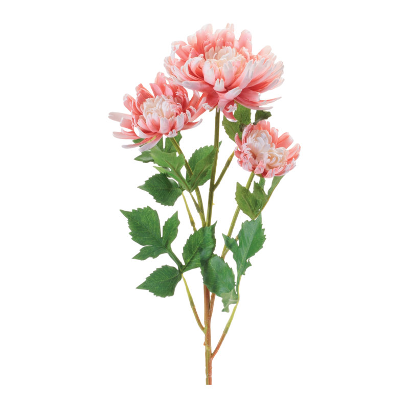 Mum floral, Rose