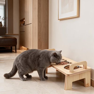 Gamelles surélevées pour chats, adaptées aux moustaches des chats, avec 3 bols en acier inoxydable, ensemble de bols inclinés à 15° en bambou pour nourriture et eau, station d'alimentation facile à nettoyer pour chatons et petits chiens d'intérieur.