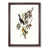 Walnut Framed selected