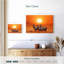 Crowle, zèbres de Tanzanie sauvages-111824494