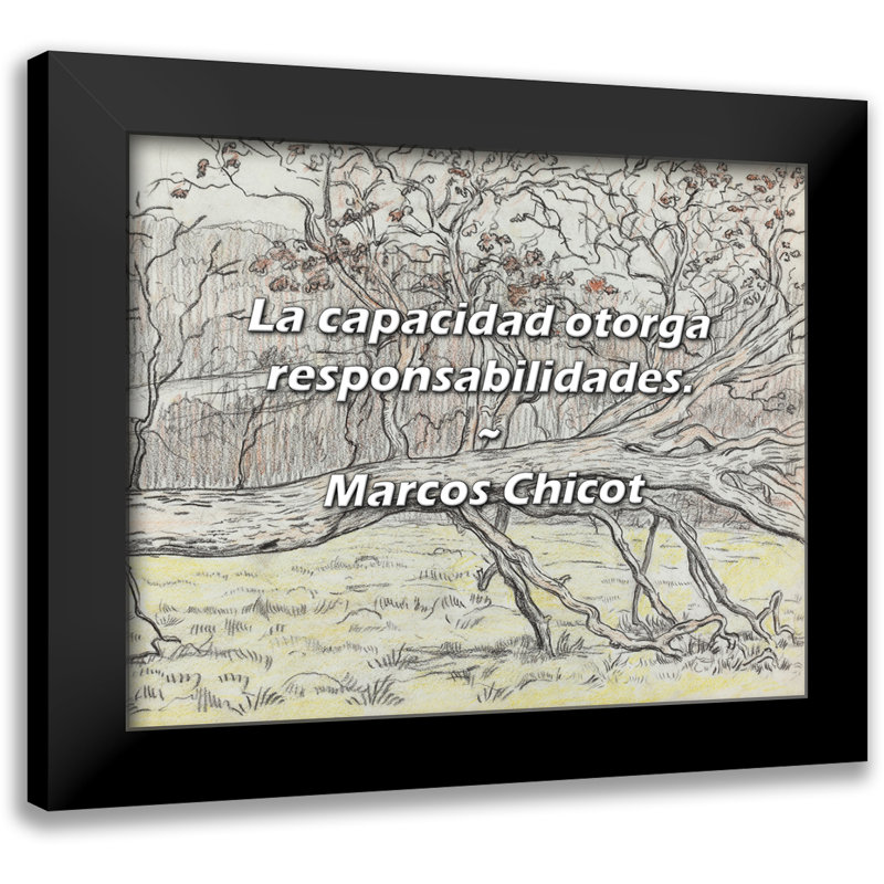 Marcos Chicot Citation: La capacité d'otorga redevilidades.