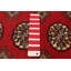 Tapis rouge en laine noué à la main de conception unique 9 pi 2 po x 12 pi 2 po