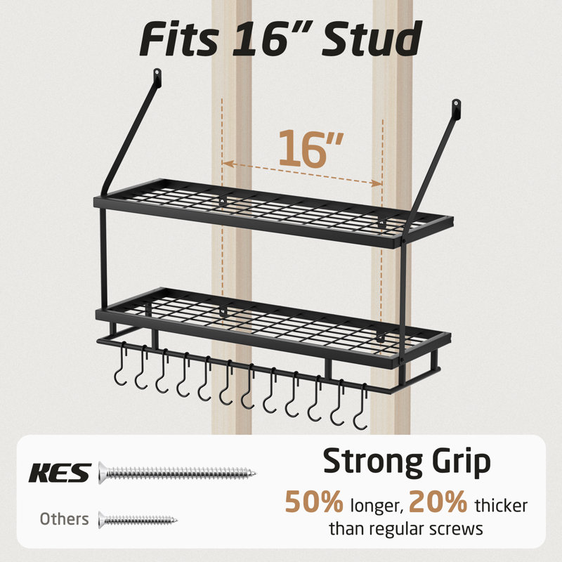 Wall Mounted Pot Rack Kitchen 30 Inch 2-Tier Wall Shelf with 12 Hooks, Black
