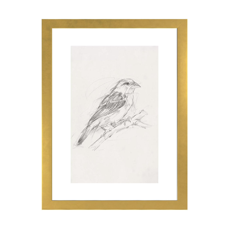 Reproduction d’art, "Avian Study II" par Ethan Harper, Papier encadré doré, Blanc, H 24 po x l 16 po x P 1 po