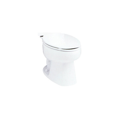 Cuvette de toilette allongée brute de 10 po 1,6 GPF Windham seulement