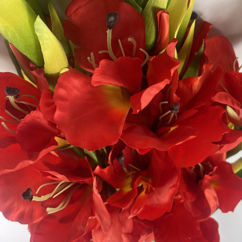 Aneris Arrangement