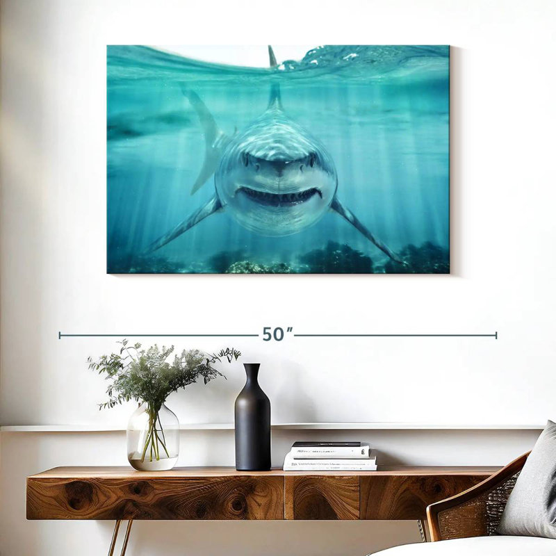 Requin blanc Brampt, H 26 po x l 39 po