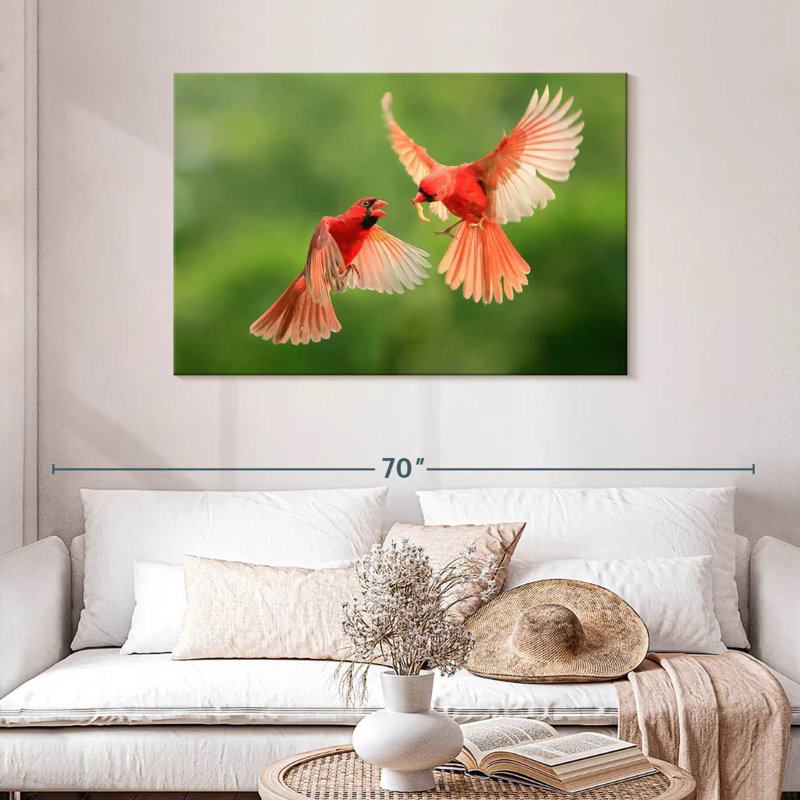 Brampt Northern Cardinal