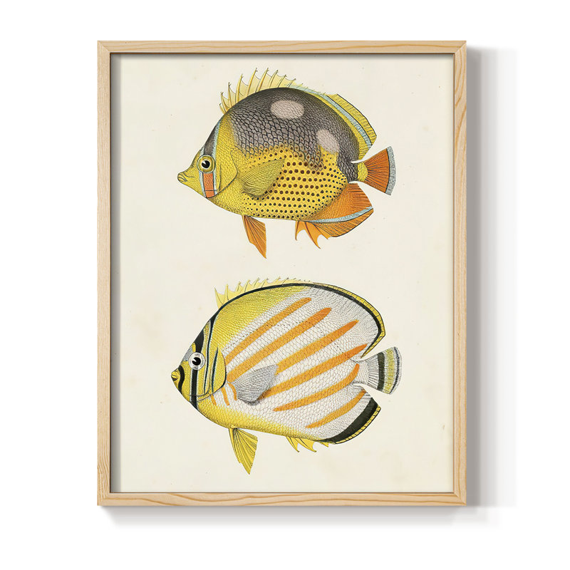 «Yellow and Gray Fish IV», reproduction encadrée - bois massif, H 11 po x l 9 po