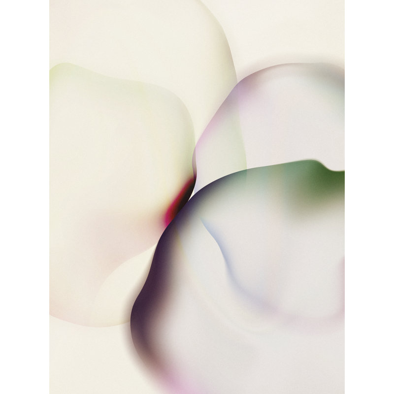 Gossamer Veils II by Victoria Barnes - Wrapped Canvas Print, 46 cm H x 30 cm W