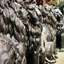 Lion Bronze Garden Statue