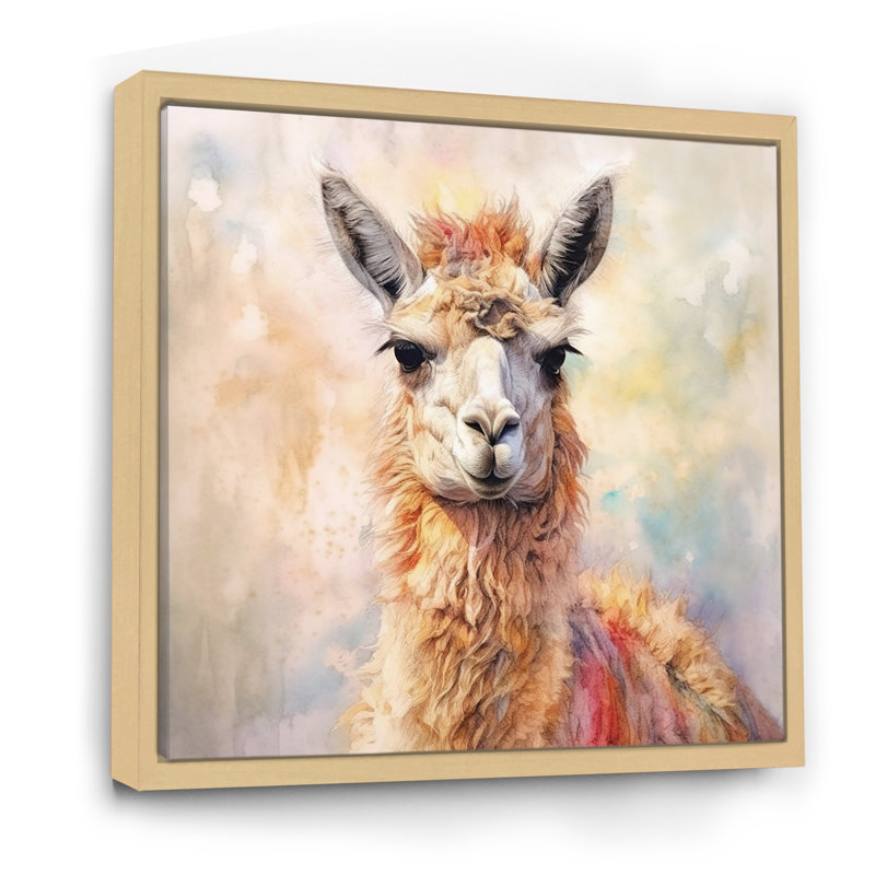 Llama Harmony I - Animals Canvas Print, 36" H x 36" W, Natural Floater Framed