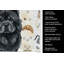 Serviette de cuisine Coffee Bar-1234934681