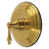Brushed Brass