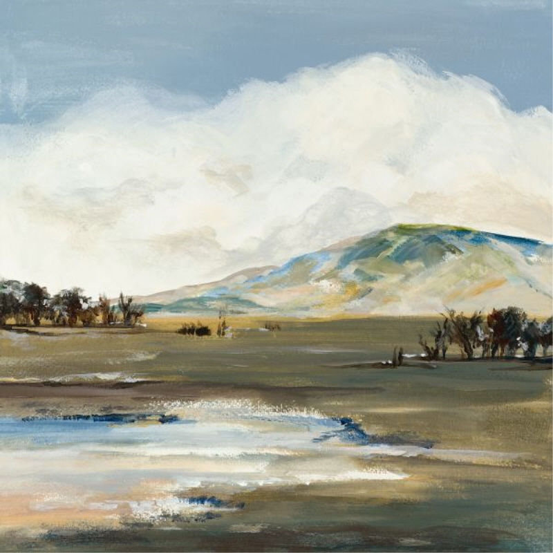 «Dazzling Field I» par Sara Brown - impression, Extérieur, H 40 po x l 40 po x P 1,5 po