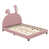 Rose est en rupture de stock