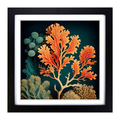 Coral Vintage Art - Framed Print