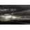 «Moody Woodland» par Woutervandenbroek - photographie sur toile tendue