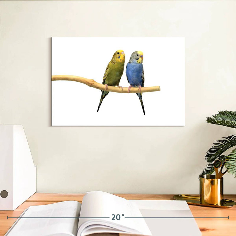 Parakeets, 8" H x 12" W