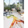 Adam Hunter Smoke Sunset Area Rug