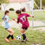 VEVOR Plastic Soccer with Carrying Case-93668987-93668986