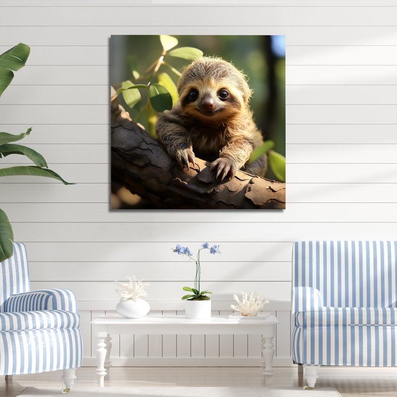Photo de bébé paresseux - reproduction sur toile, Toile tendue, H 36 po x l 36 po x P 1,5 po