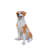 Lifelike Hound Dog Statue