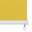 Semi Sheer-766224255-766224232