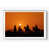 Framed Print with Mat