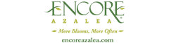 Encore Azalea logo