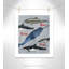 «Born to be free», impression sur papier-47841725-47483387