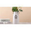 27.9cm Ceramic Table Vase-1059202484