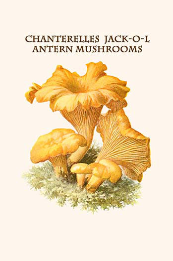 « jack-o-lantern champignons » par edmund michael-impression d’art graphique, H 36 po x l 24 po x P 1,5 po