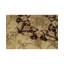 Castilian II Wool Oriental Area Rug